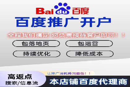 案例研究：如何通过竞价广告实现精准营销
